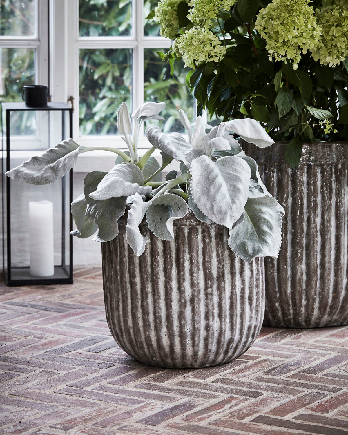Clay pots Pharao Clay pots Pharao
